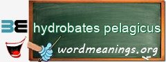 WordMeaning blackboard for hydrobates pelagicus